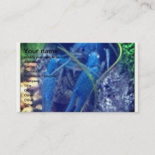 Carte De Visite homard de bleu de colorfull