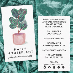 Carte De Visite Houseplant Calathea Prière Plante Jardinage social