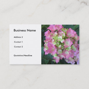 Carte De Visite Hydrangeas Rose Clair