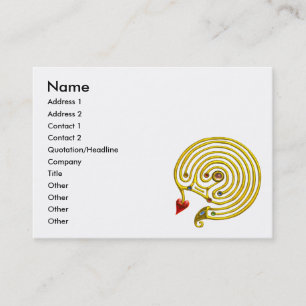 CARTE DE VISITE HYPER LABYRINTH