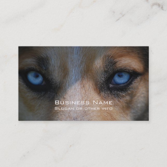 Carte De Visite Icy Blue Canine Eyes (Devant)