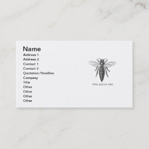 Carte De Visite Illustration Antique d'Insecte de Bourdon Reine Ab