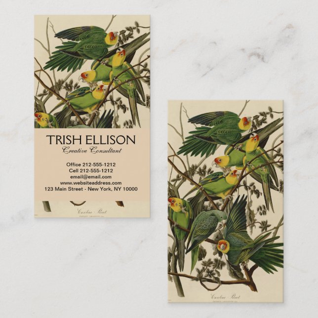Carte De Visite Illustration Audubon Carolina Parrot Bird (Devant / Derrière)