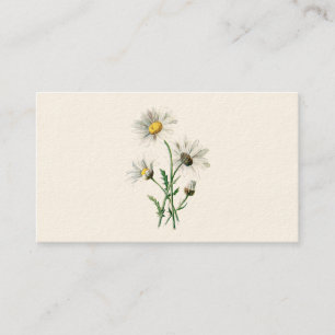 Carte De Visite Illustration de fleur sauvage de marguerites du