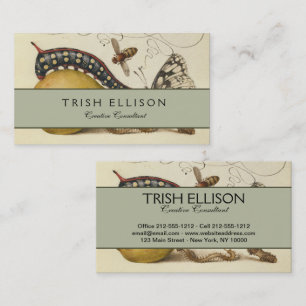 Carte De Visite Illustration de l'insecte du fruit du papillon