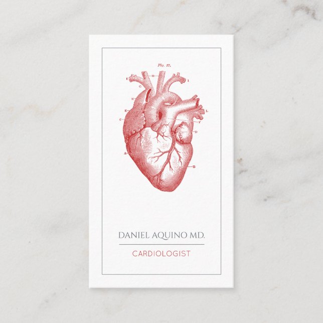 Carte De Visite Illustration du coeur anatomique du docteur en car (Devant)