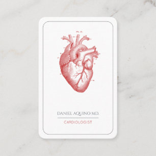 Carte De Visite Illustration du coeur anatomique du docteur en car