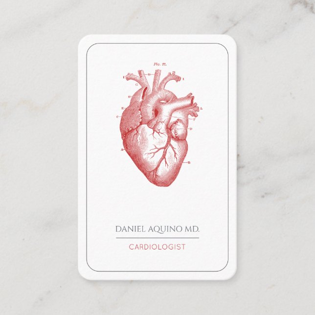 Carte De Visite Illustration du coeur anatomique du docteur en car (Devant)