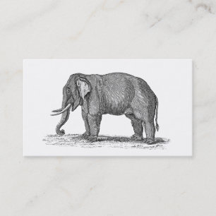 Carte De Visite Illustration vintage d'éléphant de 1800s -
