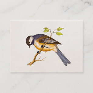 Carte De Visite Illustration vintage d'oiseau de chanson - oiseaux