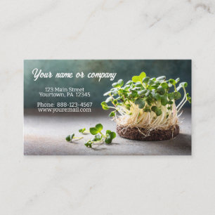 Carte De Visite Image de micro-greens