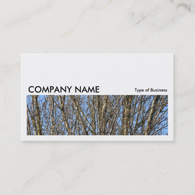 Carte De Visite Image longue 0164 - Branches lumineuses (Devant)
