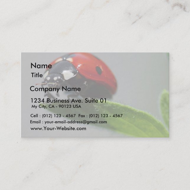 Carte De Visite Insectes de coccinelles (Devant)