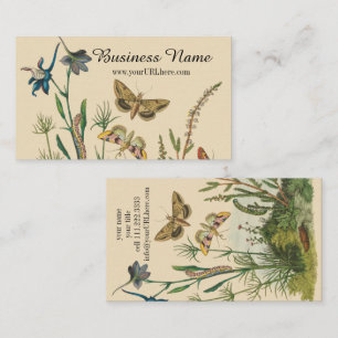 Carte De Visite Insectes de jardin vintage, papillons, chenilles