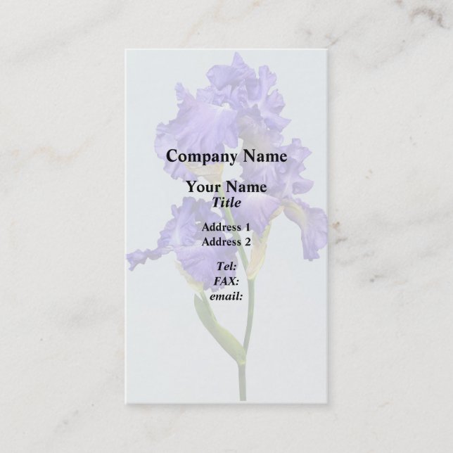 Carte De Visite Iris pourpre triple (Devant)