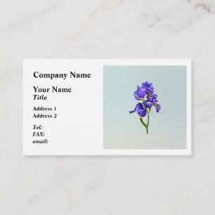Carte De Visite Iris triple violet