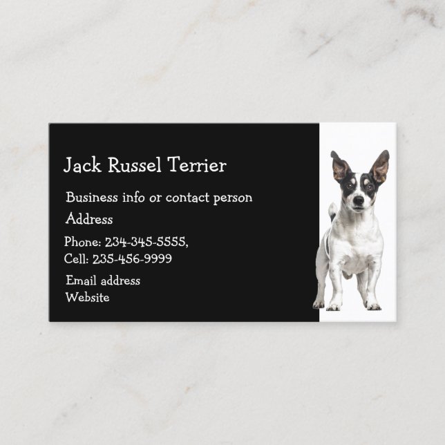 Carte De Visite Jack Russel Terrier Dresseur de chiens Sitter d'an (Devant)