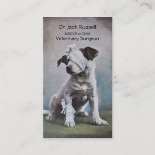 Carte De Visite Jack Russell avec des bandages vétérinaires