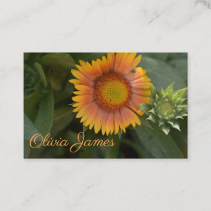 Carte De Visite Jardin Fleur Orange Jaune Plante Nature