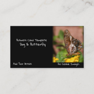 Carte De Visite Jardin Photographie Papillon Ailes Chien