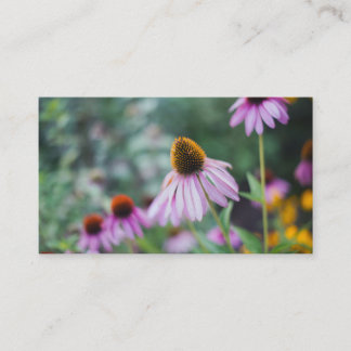 Carte De Visite Jardin rose de Coneflower