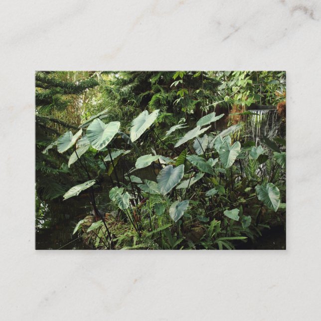 Carte De Visite Jardins botaniques (Devant)