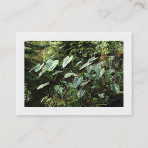 Carte De Visite Jardins botaniques (Bordés)