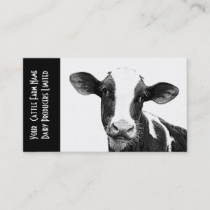 Carte De Visite Jeune veau Holstein ou veau laitier