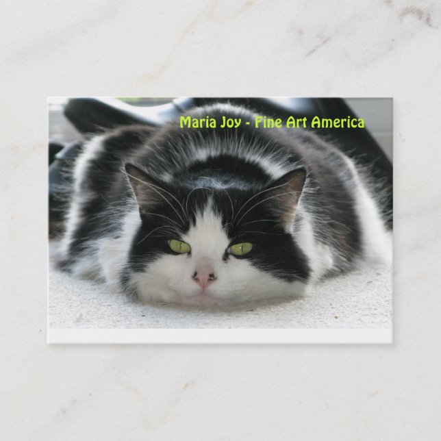 Carte De Visite Joie de Maria - beaux-arts Amérique. (Devant)