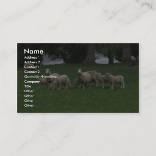 Carte De Visite Joli Groupe D'Herbes Mangeuses De Moutons