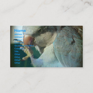 Carte De Visite Joli oiseau