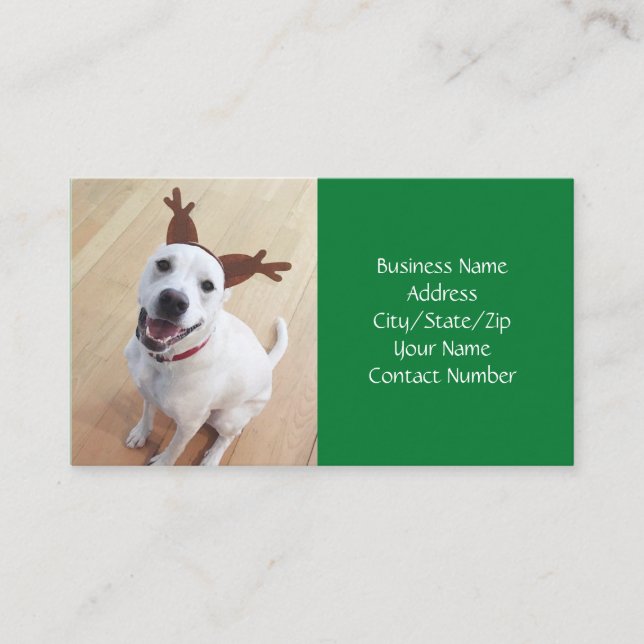 Carte De Visite Joli sourire blanc rennes chien vert Noël (Devant)