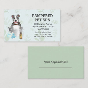 Carte De Visite Joli Taureau Terrier Groomer Animaux Spa Rendez-vo