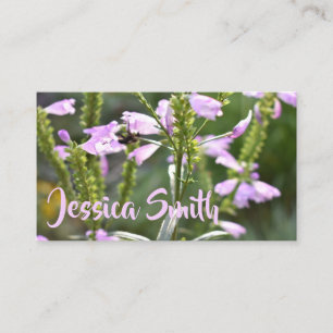 Carte De Visite Jolie Fleurs violettes Photographie originale du j