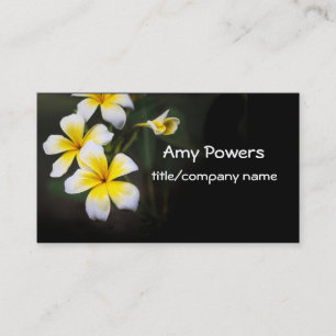 Carte De Visite jolie Plumeria fleurit photographie de fleurs