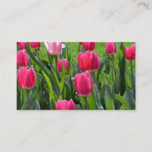 Carte De Visite jolies fleurs de tulipes roses de printemps. flora