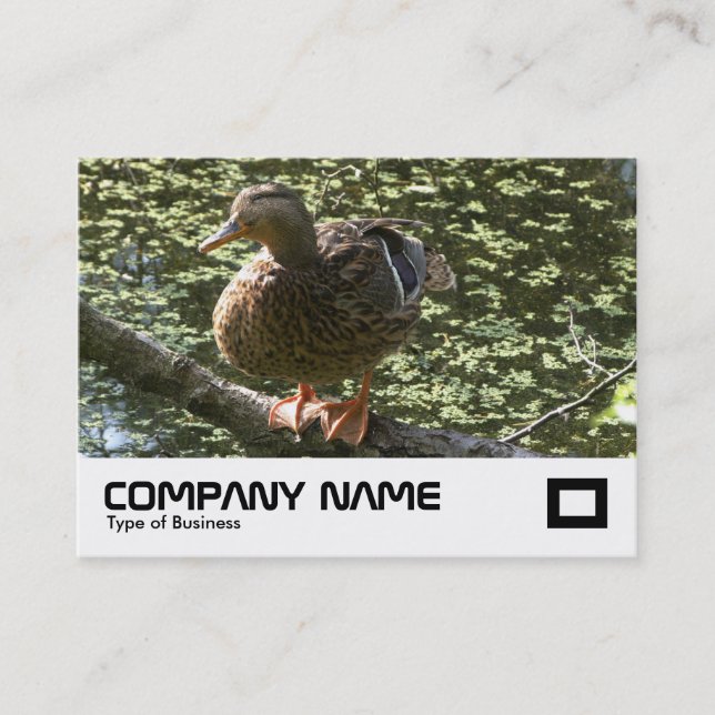 Carte De Visite Joyeux canard (Devant)