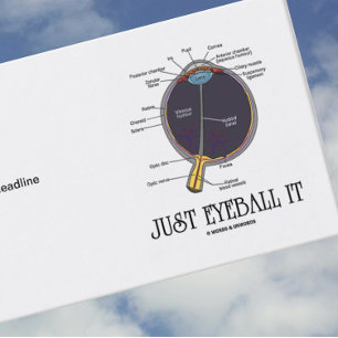 Carte De Visite Juste Eyeball It (Eye Anatomy Approximation Dit)