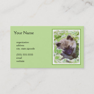 Carte De Visite Keeshond Puppy in the Garden Peinture Art original