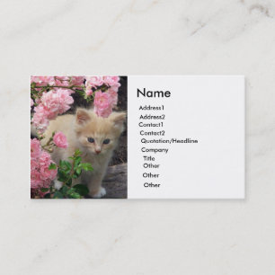 Carte De Visite Kitten blanc et Brown