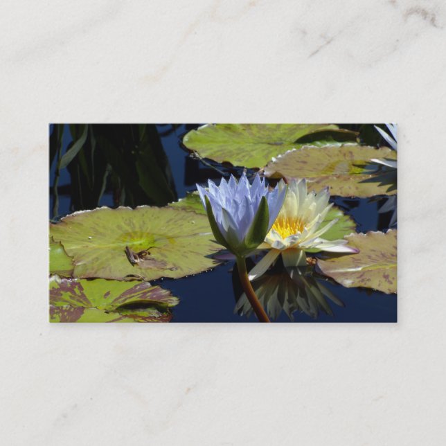 Carte De Visite La Danse de la Lily de l'eau (Devant)