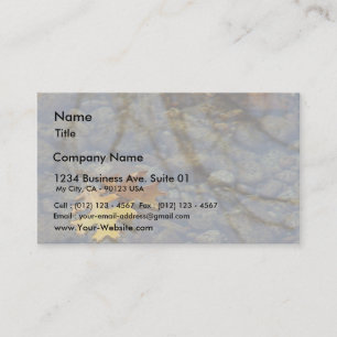 Carte De Visite La feuille laisse des réflexions de l'eau de
