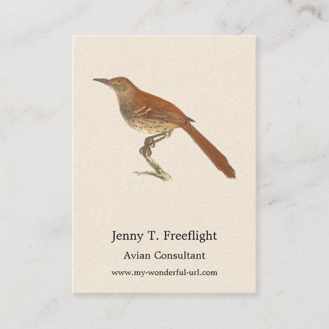 Carte De Visite La Grive Brown ou le Trasher Brown, New York Birds (Devant)