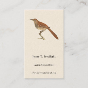 Carte De Visite La Grive Brown ou le Trasher Brown, New York Birds