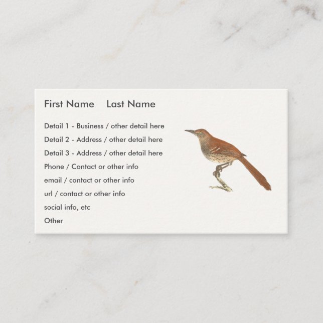 Carte De Visite La Grive Brown ou le Trasher Brown, New York Birds (Devant)