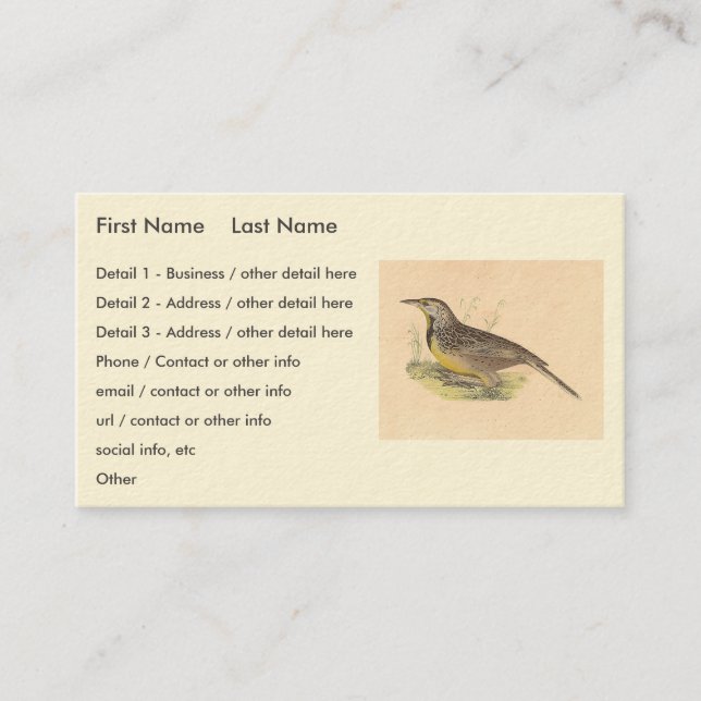 Carte De Visite La larve de l'Est (Stourne ella magna) NY Birds (Devant)