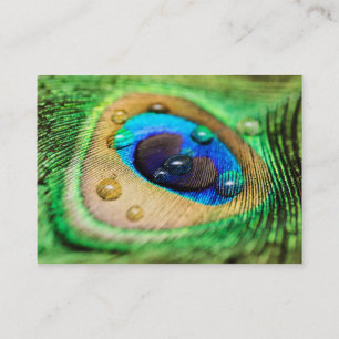Carte De Visite La macro plume abstraite de paon laisse tomber le