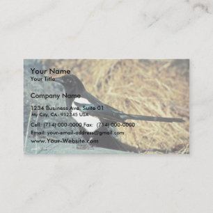 Carte De Visite La magpie à bec noir se dresse sur le rocher