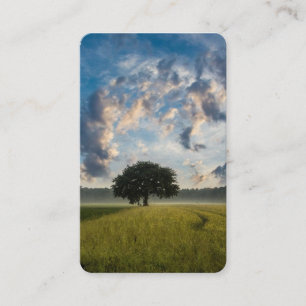 Carte De Visite La prière carde l'arbre solitaire 1 de   de luxe