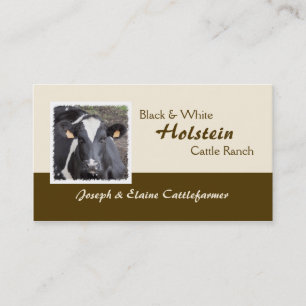Carte De Visite Laiterie du Holstein ou photo de cheptels bovins